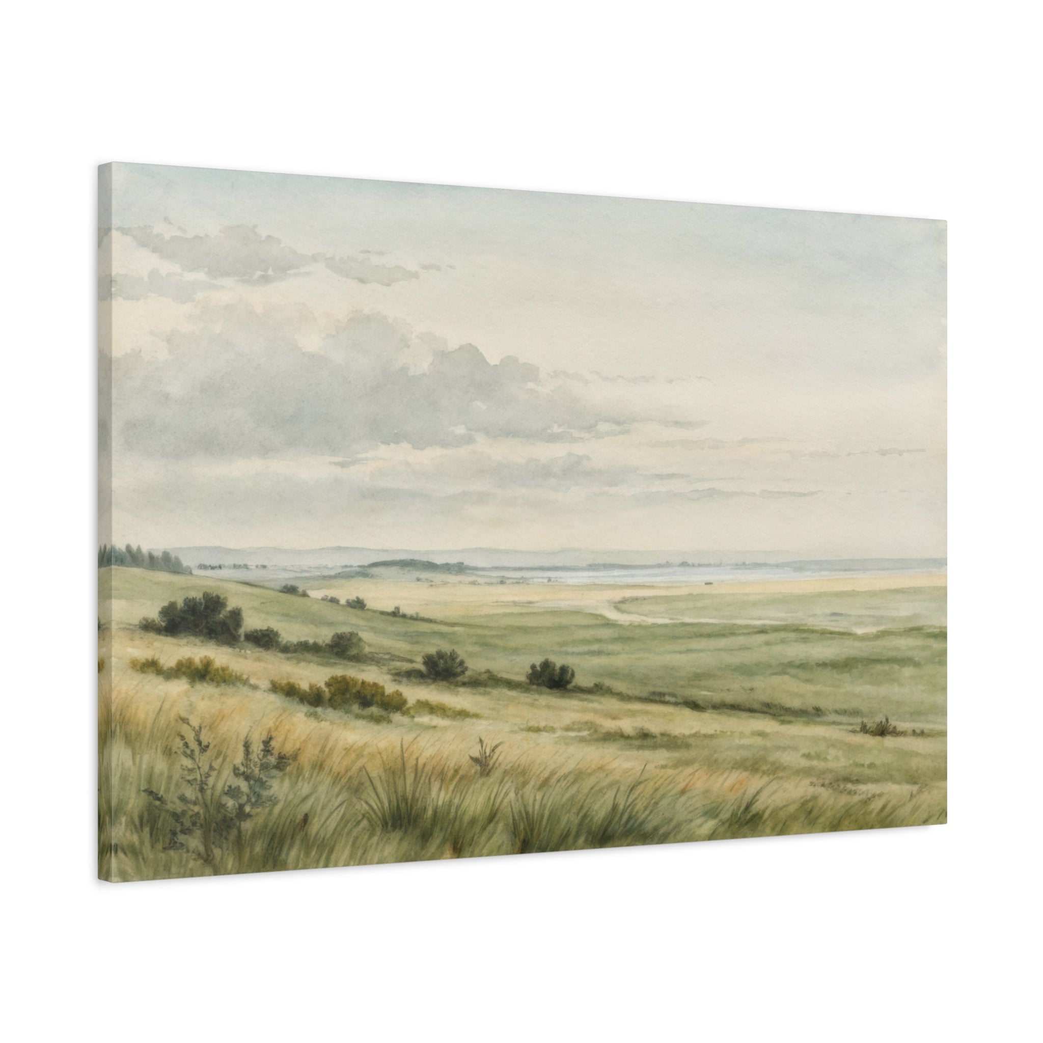 Long Meadow (Unframed)